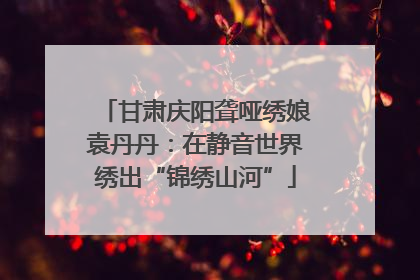 甘肃庆阳聋哑绣娘袁丹丹：在静音世界绣出“锦绣山河”