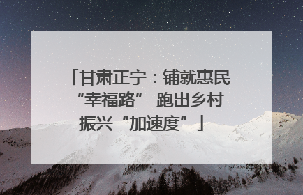 甘肃正宁：铺就惠民“幸福路” 跑出乡村振兴“加速度”