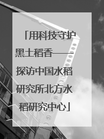 用科技守护黑土稻香——探访中国水稻研究所北方水稻研究中心