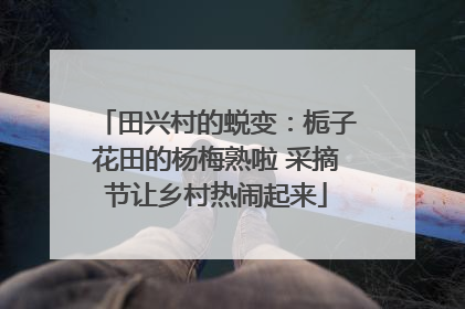 田兴村的蜕变：栀子花田的杨梅熟啦 采摘节让乡村热闹起来