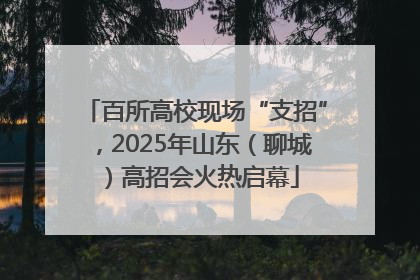 百所高校现场“支招”，2025年山东（聊城）高招会火热启幕
