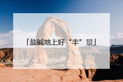 盐碱地上好“丰”景
