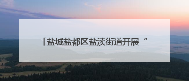 盐城盐都区盐渎街道开展“绿书签行动”宣传系列活动
