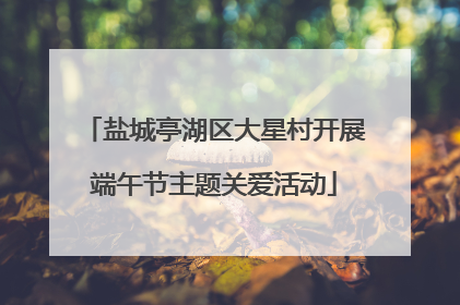 盐城亭湖区大星村开展端午节主题关爱活动