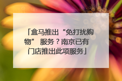 盒马推出“免打扰购物” 服务？南京已有门店推出此项服务