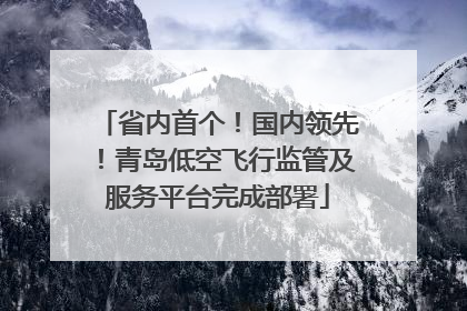 省内首个！国内领先！青岛低空飞行监管及服务平台完成部署