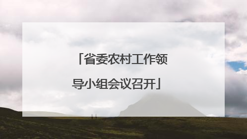 省委农村工作领导小组会议召开