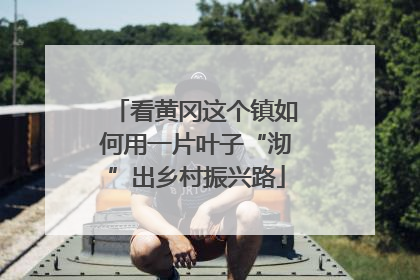 看黄冈这个镇如何用一片叶子“沏”出乡村振兴路