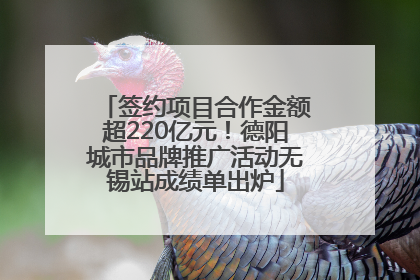 签约项目合作金额超220亿元！德阳城市品牌推广活动无锡站成绩单出炉