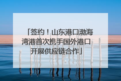 签约！山东港口渤海湾港首次携手国外港口开展供应链合作