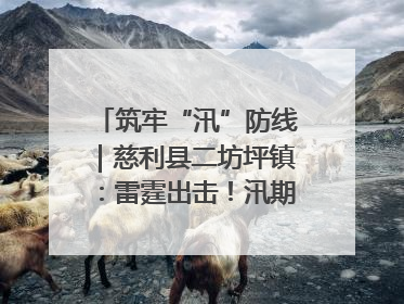 筑牢“汛”防线｜慈利县二坊坪镇：雷霆出击！汛期捕鱼被紧急叫停