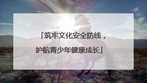 筑牢文化安全防线，护航青少年健康成长