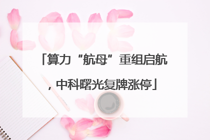 算力“航母”重组启航，中科曙光复牌涨停