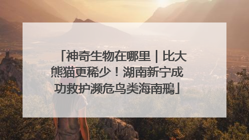 神奇生物在哪里｜比大熊猫更稀少！湖南新宁成功救护濒危鸟类海南鳽