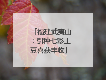 福建武夷山：引种七彩土豆喜获丰收