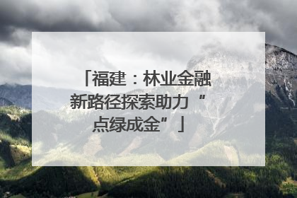 福建：林业金融新路径探索助力“点绿成金”