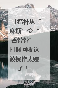 秸秆从“麻烦”变“香饽饽” 打捆回收这波操作太赚了！