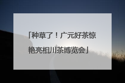 种草了！广元好茶惊艳亮相川茶博览会
