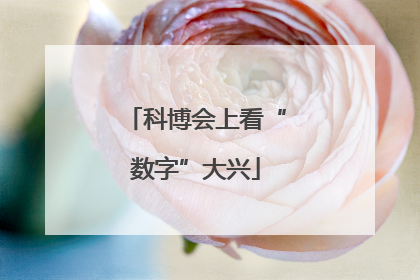科博会上看“数字”大兴