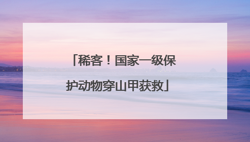 稀客！国家一级保护动物穿山甲获救