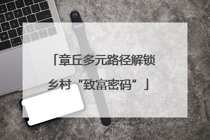章丘多元路径解锁乡村“致富密码”