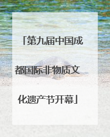 第九届中国成都国际非物质文化遗产节开幕
