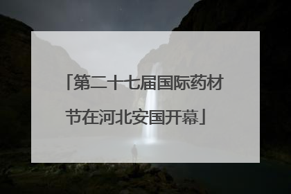 第二十七届国际药材节在河北安国开幕