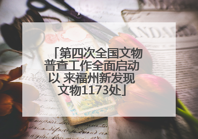 第四次全国文物普查工作全面启动以 来福州新发现文物1173处