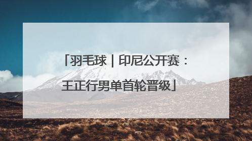 羽毛球｜印尼公开赛：王正行男单首轮晋级