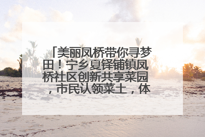 美丽凤桥带你寻梦田！宁乡夏铎铺镇凤桥社区创新共享菜园，市民认领菜土，体验耕种收获乐趣