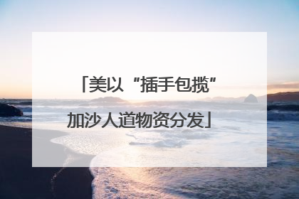 美以“插手包揽”加沙人道物资分发