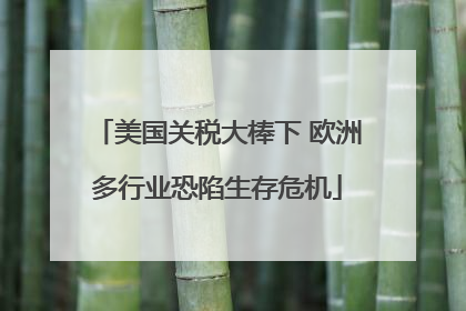美国关税大棒下 欧洲多行业恐陷生存危机