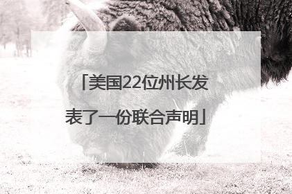 美国22位州长发表了一份联合声明