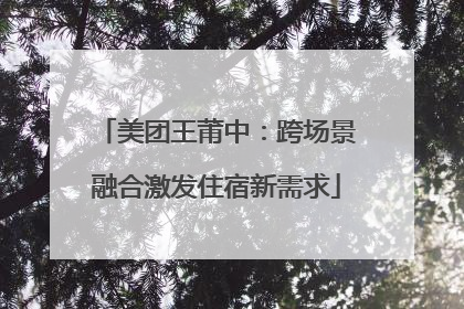 美团王莆中：跨场景融合激发住宿新需求