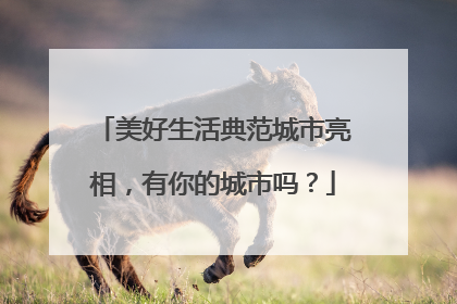 美好生活典范城市亮相，有你的城市吗？