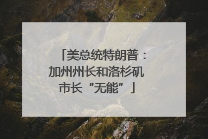 美总统特朗普：加州州长和洛杉矶市长“无能”