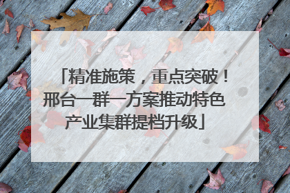 精准施策，重点突破！邢台一群一方案推动特色产业集群提档升级