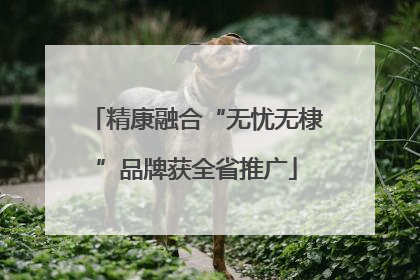 精康融合“无忧无棣”品牌获全省推广