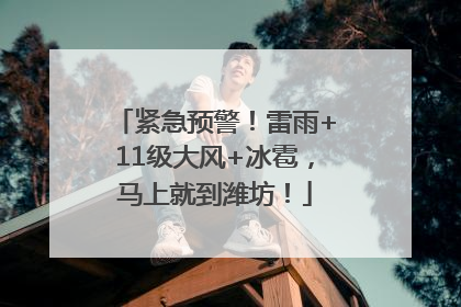 紧急预警！雷雨+11级大风+冰雹，马上就到潍坊！