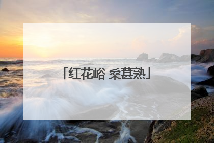 红花峪 桑葚熟