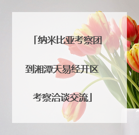 纳米比亚考察团到湘潭天易经开区考察洽谈交流