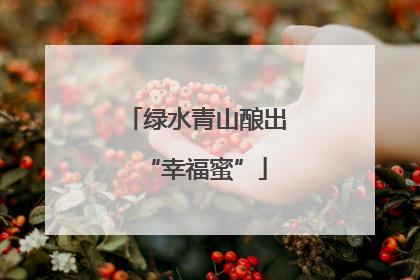 绿水青山酿出“幸福蜜”