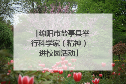绵阳市盐亭县举行科学家（精神）进校园活动