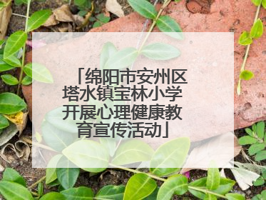 绵阳市安州区塔水镇宝林小学开展心理健康教育宣传活动