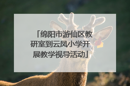 绵阳市游仙区教研室到云凤小学开展教学视导活动