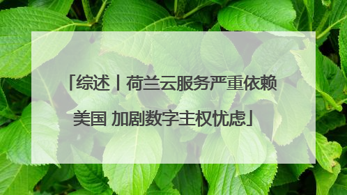 综述丨荷兰云服务严重依赖美国 加剧数字主权忧虑
