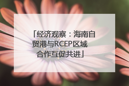 经济观察：海南自贸港与RCEP区域合作互促共进