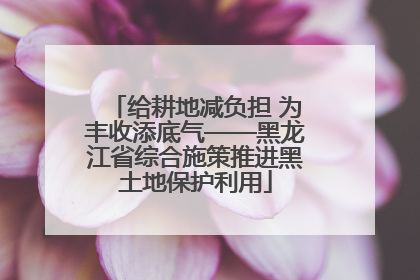 给耕地减负担 为丰收添底气——黑龙江省综合施策推进黑土地保护利用