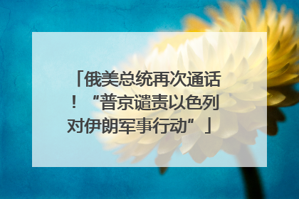 俄美总统再次通话！“普京谴责以色列对伊朗军事行动”