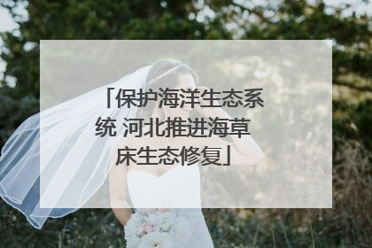 保护海洋生态系统 河北推进海草床生态修复
